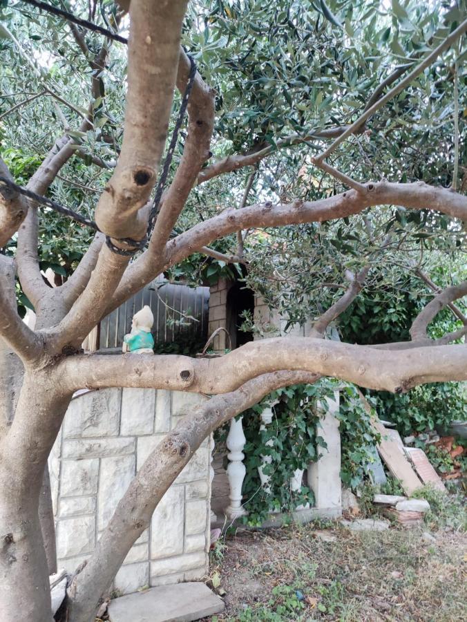 Apartment Cengo Kaštela المظهر الخارجي الصورة